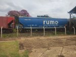 RUMO HTT-351773-0